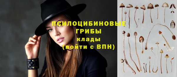 PSILOCYBIN Медвежьегорск