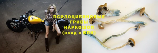 PSILOCYBIN Медвежьегорск