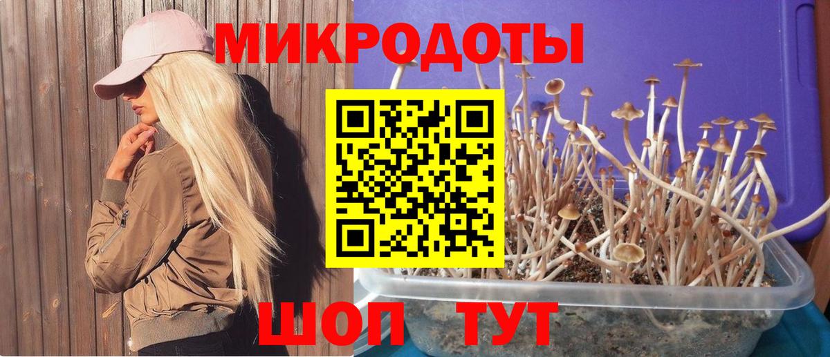 Псилоцибиновые грибы GOLDEN TEACHER Чебоксары