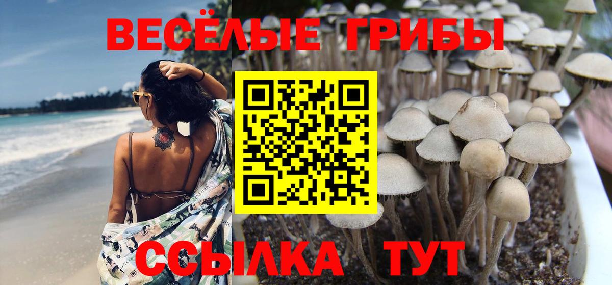 Псилоцибиновые грибы MAGIC MUSHROOMS  Псилоцибиновые грибы ЛСД  Чебоксары 