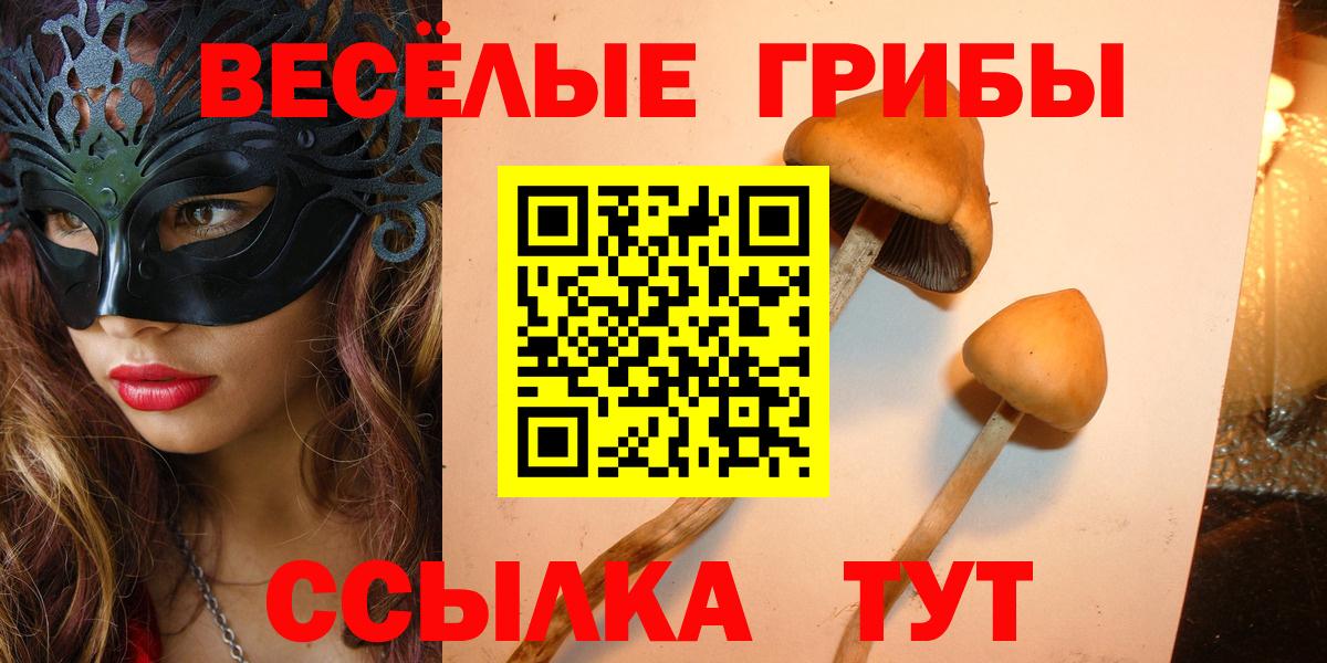Псилоцибиновые грибы Cubensis  где купить наркотик  Галлюциногенные грибы Psilocybine cubensis  Чебоксары  Вход с VPN 