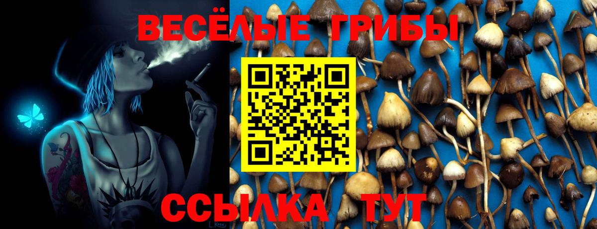 Каннабис  Кокаин  ЭКСТАЗИ  МЕФ   Чебоксары  Гашиш 